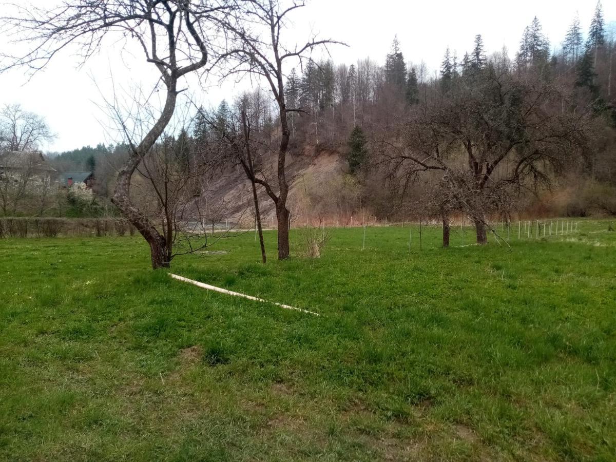Садиба Федорчуків За Рікою شيشوري المظهر الخارجي الصورة