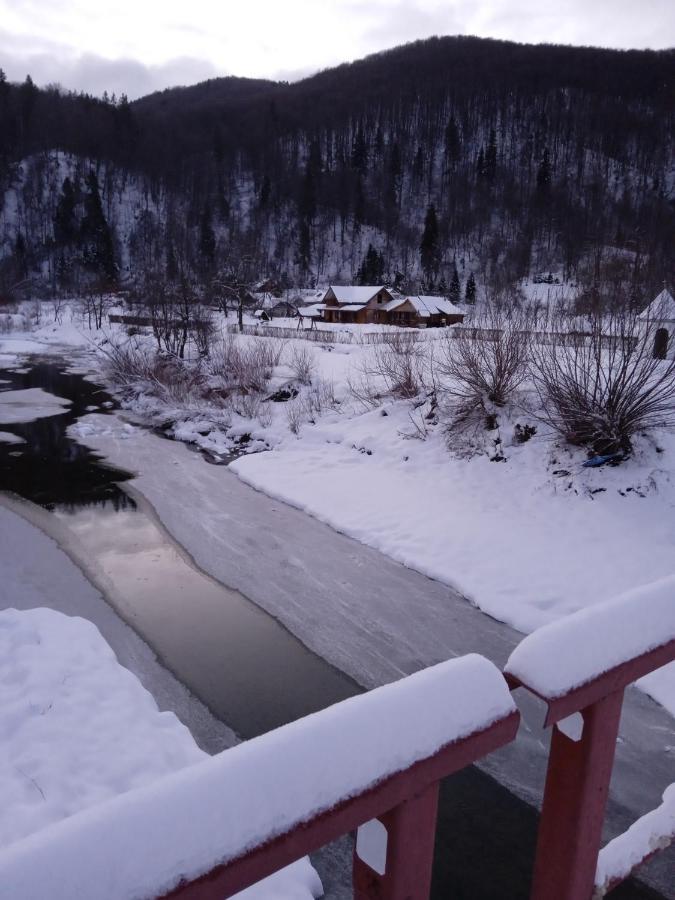 Садиба Федорчуків За Рікою شيشوري المظهر الخارجي الصورة