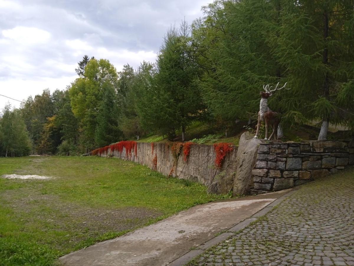 Садиба Федорчуків За Рікою شيشوري المظهر الخارجي الصورة