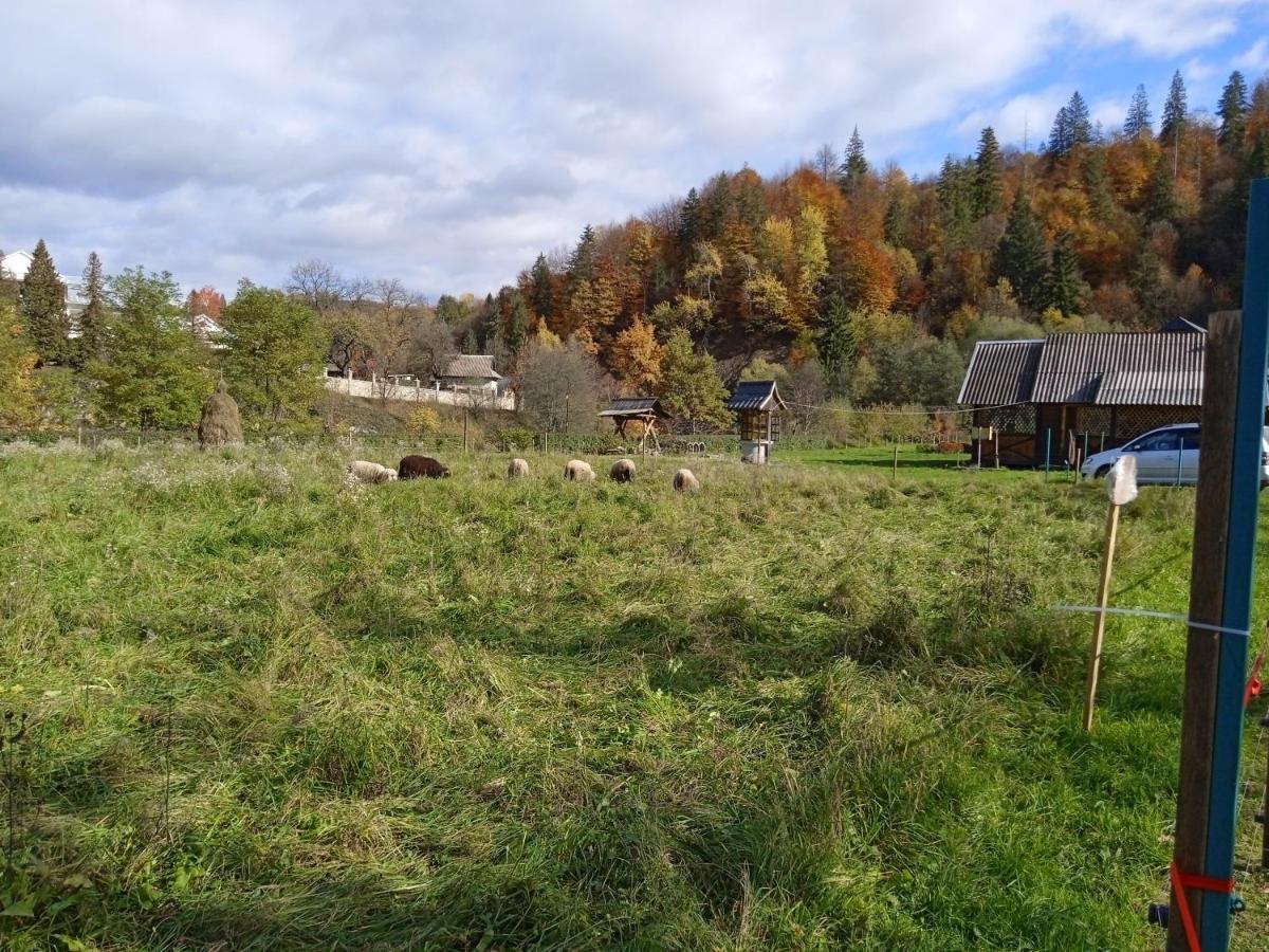Садиба Федорчуків За Рікою شيشوري المظهر الخارجي الصورة
