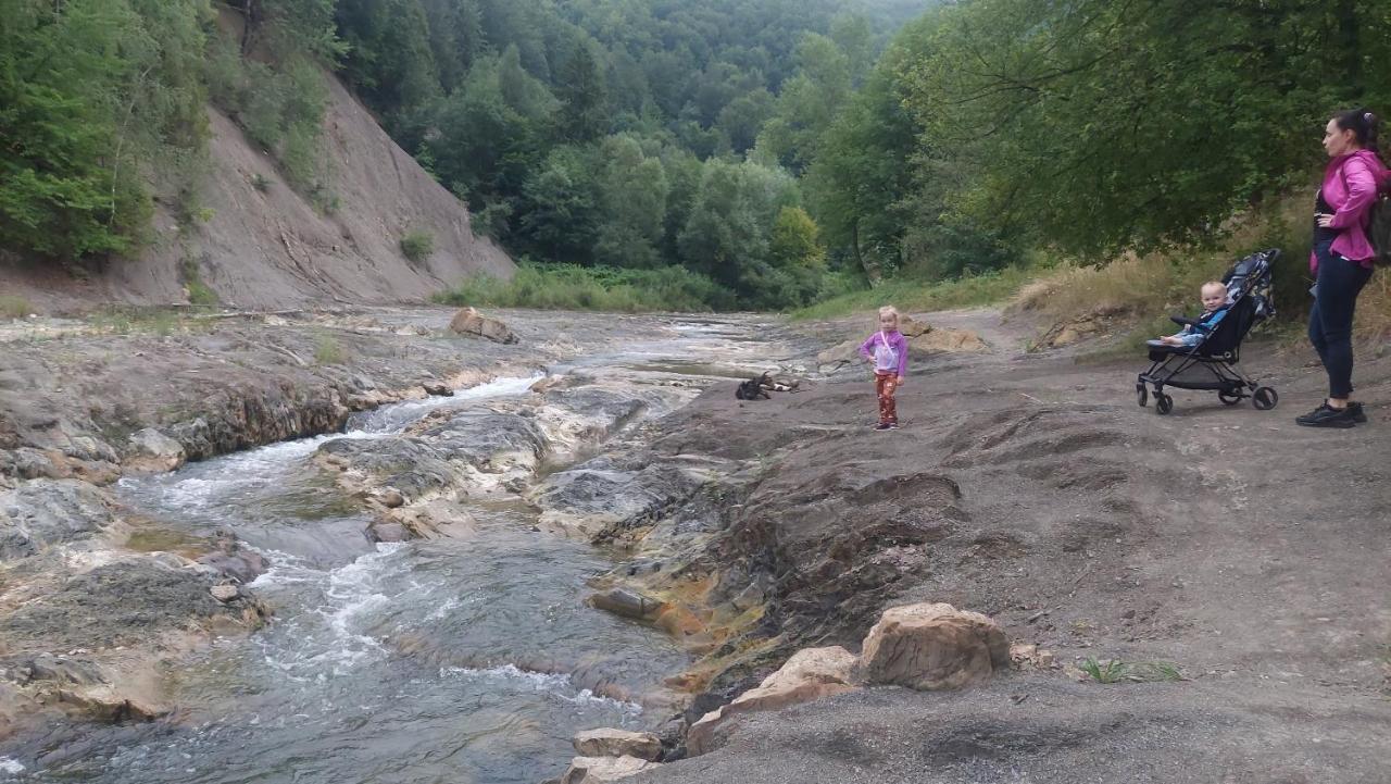 Садиба Федорчуків За Рікою شيشوري المظهر الخارجي الصورة